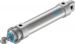 DSNU-32-100-PPV-A Round cylinder